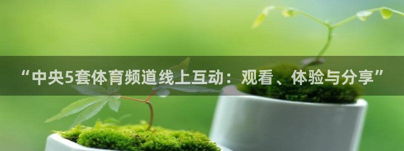 “中央5套体育频道线上互动：观看、体验与分享”
