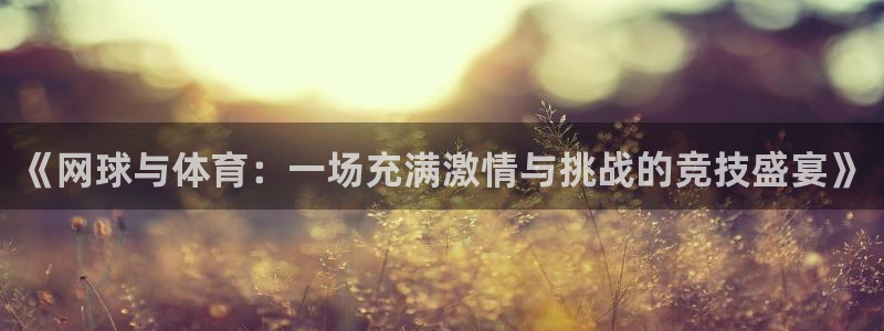 《网球与体育：一场充满激情与挑战的竞技盛宴》